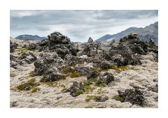 Iceland Day 6  Berserkjahraun Lava Field Stykkishólmur, Snaefellsnes