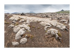Iceland Day 6  Berserkjahraun Lava Field Stykkishólmur, Snaefellsnes