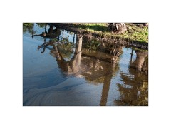 Los Angeles 02  Hancock Park La Brea Tar Pits