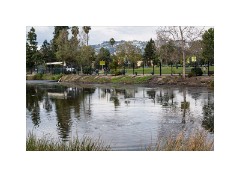 Los Angeles 03  Hancock Park La Brea Tar Pits