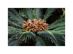 Los Angeles 04  Hancock Park