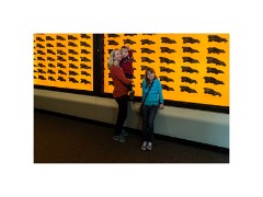 Los Angeles 09  Page Museum Dire Wolf bones