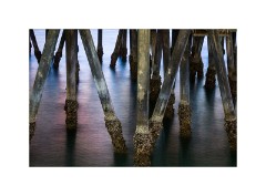 Los Angeles 29  Santa Monica Pier