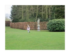 Anglesey Abbey Jess on a Hike