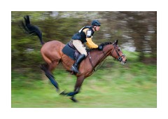 Burnham Market Horse Trials 13