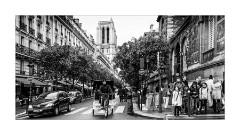 City Island looking towards the Notre Dame