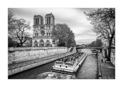 Cruising Down the River