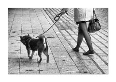 Walking the Dog Gare de L'est