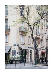 Street near the Palais de Chaillot