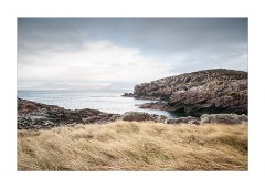 Grasses at Mellon Udrigle