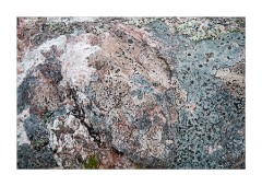 Lichen Covered Rock at Bealach na Gaoithe