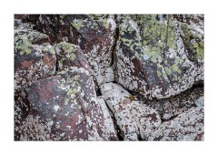 Rocks and Lichen Mellon Udrigle