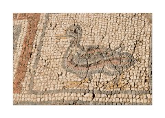 Ephesus and Sirince 22  Ephesus, street of mosaics