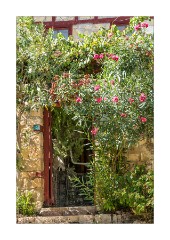 Gallipoli Troy and Yesilyurt 30  Yesilyurt