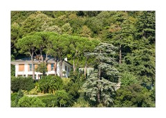 Istanbul  River cruise on the Bosphorus Asian side