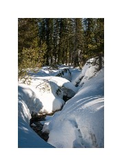 Folsom 06  North Lake Tahoe Donner Summit