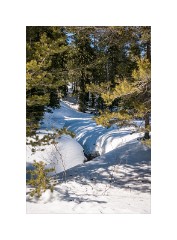 Folsom 08  North Lake Tahoe Donner Summit