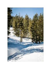 Folsom 10  North Lake Tahoe Donner Summit