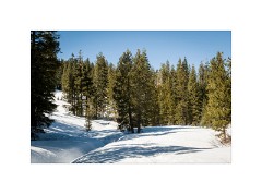 Folsom 11  North Lake Tahoe Donner Summit