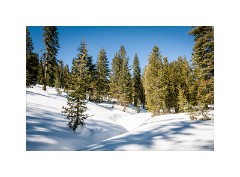 Folsom 12  North Lake Tahoe Donner Summit