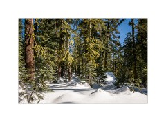 California February 2013