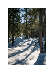 Tahoe 01  Loon Lake Tahoe