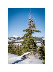 Tahoe 05  Loon Lake Tahoe