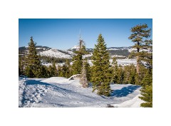 Tahoe 06  Loon Lake Tahoe