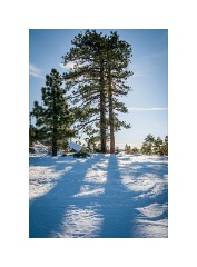 Tahoe 07  Loon Lake Tahoe