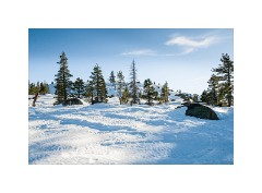 Tahoe 10  Loon Lake Tahoe