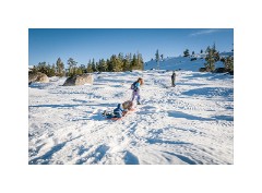 Tahoe 11  Loon Lake Tahoe - Nikki Pulling the Sled