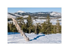 Tahoe 12  Loon Lake Tahoe