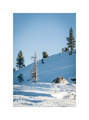 Tahoe 15  Loon Lake Tahoe