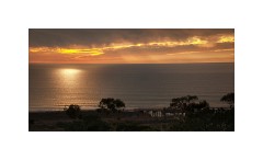 San Diego 01  Torrey Pines State Reserve San Diego