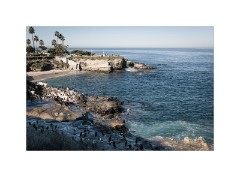 San Diego 08  Scripps Park La Jolla