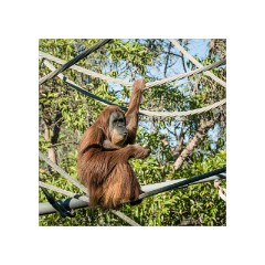 San Diego 20  San Diego Zoo