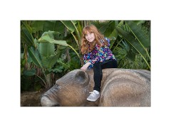 San Diego 23  San Diego Zoo - Nikki