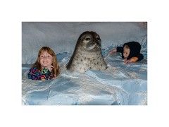 San Diego 25  San Diego Zoo -  At Sea with the Seals!