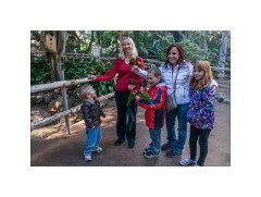 San Diego 27  San Diego Zoo Safari Park - Jason, Jenn, Jimmy, Jenn's friend Jenn, Nikki