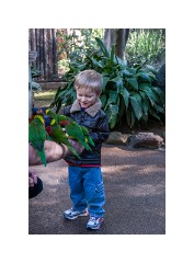 San Diego 28  San Diego Zoo Safari Park - Jason