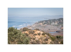 San Diego 61  Torrey Pines State Reserve San Diego