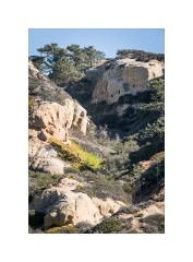 San Diego 69  Torrey Pines State Reserve San Diego