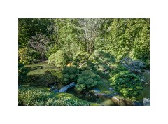 San Francisco 11  Japanese Tea Garden San Francisco