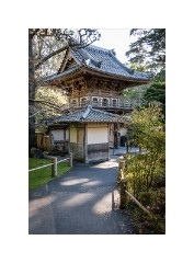 San Francisco 12  Japanese Tea Garden San Francisco