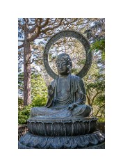 San Francisco 13  Japanese Tea Garden San Francisco