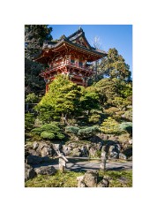 San Francisco 15  Japanese Tea Garden San Francisco