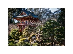 San Francisco 17  Japanese Tea Garden San Francisco