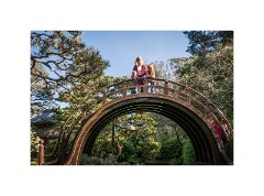 San Francisco 18  Japanese Tea Garden San Francisco