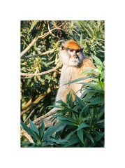 San Francisco 26  San Francisco Zoo