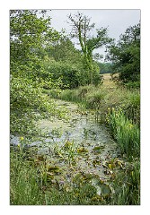 Dorset 02  Higher Kingcombe Lodge